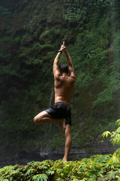 Vrikshasana tree pose from yoga by man silhouette on jungle.