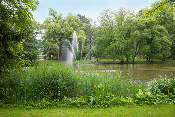 rainy day at park landscape spa garden Bad Aibling, lake with fountainand green reed, bavaria