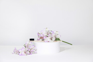 Creative representation of dentistry and oral care products. Bamboo toothbrushes on a podium pedestal with plant, flowers, on a white gray table background. Dental care