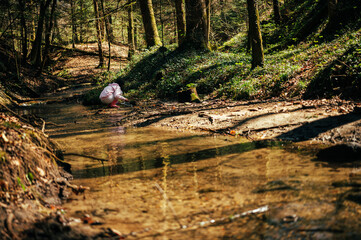 Person in the forest. Asian child fishing with a net to discover nature. One girl in pink playing in a stream.