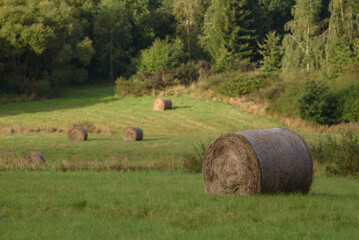 AGRICULTURE - Bales of hay in the pasture