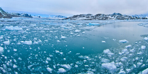 Drift floating Ice and Snowcapped Mountains, Iceberg, Ice Floes, Albert I Land, Arctic,...