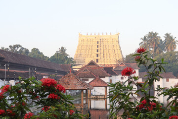 Morning view of Padmanabha swamy temple with flowers