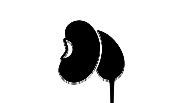 Black Beans icon isolated on white background. 4K Video motion graphic animation