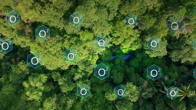 Dioxygen (O2) Symbol Inside Hexagon Appearing Over The Trees In The Forest. - aerial graphics