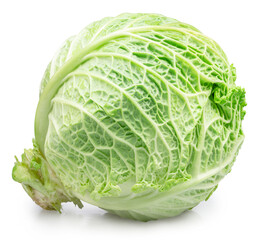 Fototapeta premium Fresh green savoy cabbage isolated on white background. File contains clipping path.
