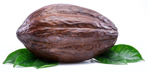 Cocoa pod with cocoa leaves isolated on a white background.