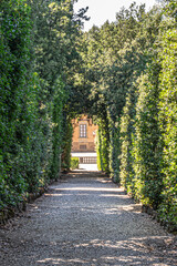 path in the park