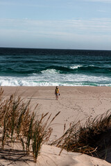 Person walking on the beach alone. Mandalay beach in Western Australia. Ocean in the background, beach and sand, plants and grass in the foreground. Footsteps in the sand. Vertical photo