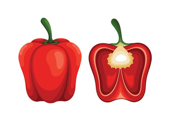 paprika fruit pepper vegetable food red healthy fresh ingredient vegetarian vector illustration vegetables ripe organic freshness