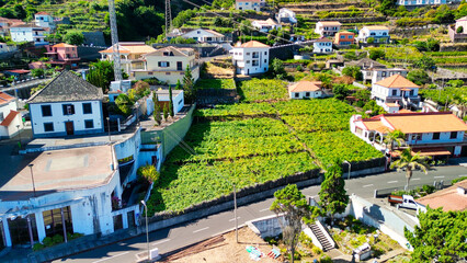 Fototapeta premium Aerial view of Seixal coastline in Madeira, Portugal