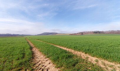 Fototapeta na wymiar Agricultural fields in the Orvanne valley
