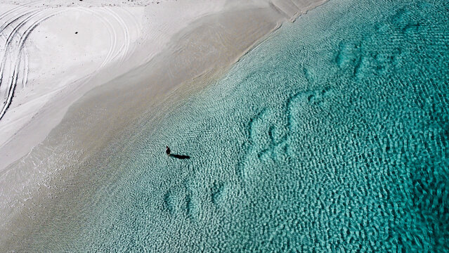 Aerial picture of one person entering the water at the beach in Wylie Bay. Shallow water in Esperance. Beautiful ocean, sand and beach. 1 person and shadow in the shore. 