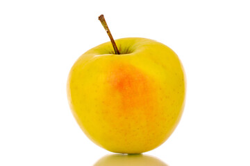 One ripe juicy apple, macro, isolated on white background.