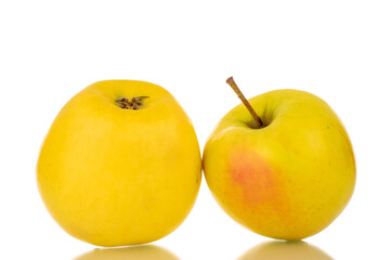 Two ripe juicy apples, macro, isolated on white background.