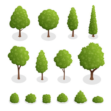 Isometric set of park plants. 3d green trees and bushes of various shapes isolated on white background vector illustration.