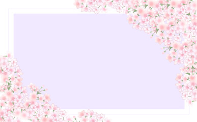 桜の長方形フレーム-ラベンダー2