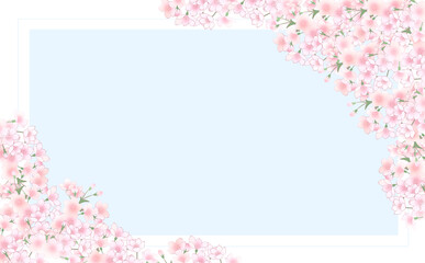 Fototapeta na wymiar 桜の長方形フレーム-みずいろ2
