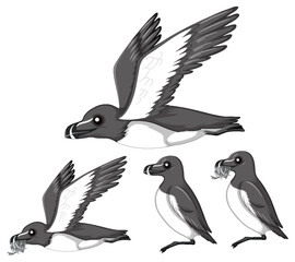 Magpie birds in cartoon style