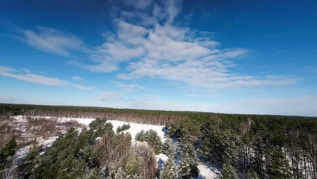 FPV Winter forest