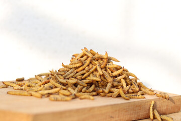 Concept of Dried black soldier fly maggots arranged on a wooden base after being processed from...