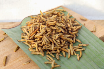 Concept of Dried black soldier fly maggots arranged on a wooden base after being processed from...
