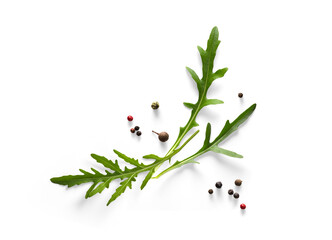 Collection of fresh herb leaves. arugula Spices, herbs on a white table. PNG Food background design element with transparent shadow on transparent background.