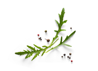 Collection of fresh herb leaves. arugula Spices, herbs on a white table. PNG Food background design element with transparent shadow on transparent background.