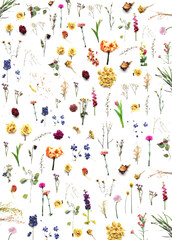 background with flowers