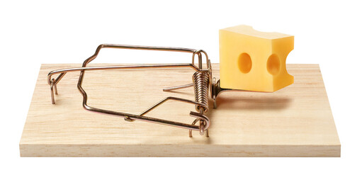 Mouse trap cut out
