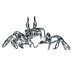 Fototapeta premium black and white sketch of a crab with transparent background