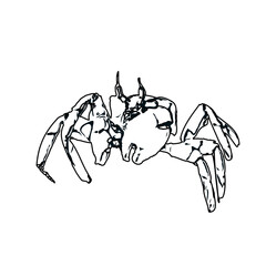 black and white sketch of a crab with transparent background
