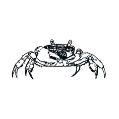 black and white sketch of a crab with transparent background