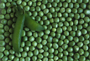 Green Peas. Green background. Peas background. Top view.