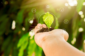 hand touching planting small plants with holographic soil environmental science with new future technology business planning development and conservation protection