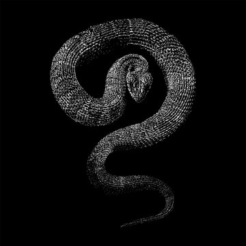 "Banded Water Snake" Images – Browse 687 Stock Photos, Vectors, and