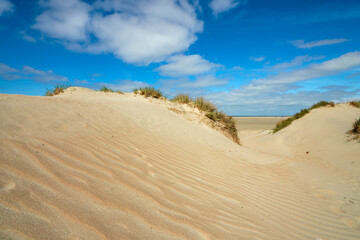 Fototapeta na wymiar Gräser auf einer Düne - vom Wind geformte Wellen im Sand - Dünenlandschaft an der dänischen Nordseeküste