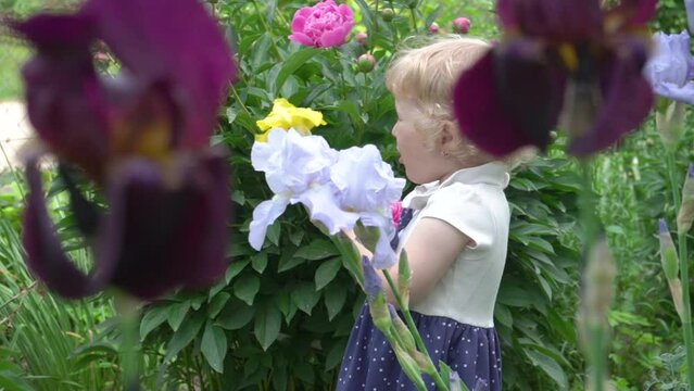 a little girl plays with flowers in a flower garden,
