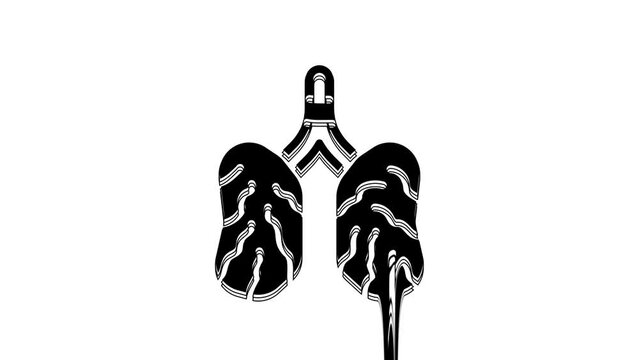 Black Disease lungs icon isolated on white background. 4K Video motion graphic animation