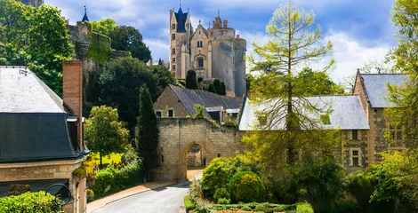Foto op Canvas Great medieval castles of Loire valley - Montreuil-Bellay. France © Freesurf