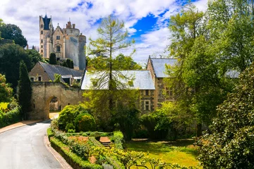Foto op Canvas Great medieval castles of Loire valley - Montreuil-Bellay. France © Freesurf