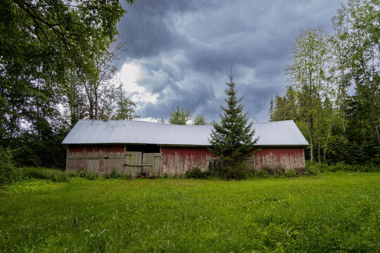 An old barn painted with red soil. An abandoned farm building in the middle of a meadow. Dark cloudy sky and bright green grass. Trees surround the building. Aged paint chipping off. 