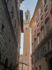 siena