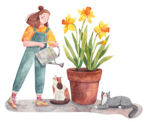 Woman/girl gardener with watering can. Yellow daffodil flowers in a pot.  © olga