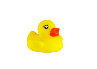 yellow rubber duck isolated on white