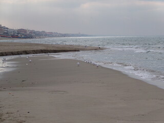 Obraz premium KODAK Digital Still Camera