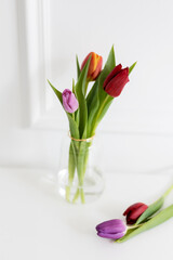 Bouquet of spring tulips flowers on white background. Home decor with tulips bouquet. Spring time at home. International women's day.