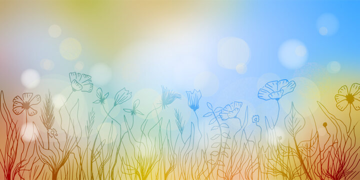 Vector spring background, hand drawn wild grass and flowers, bokeh effect