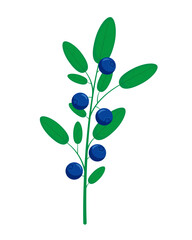 Blueberry branch with fresh ripe blueberries and leaves