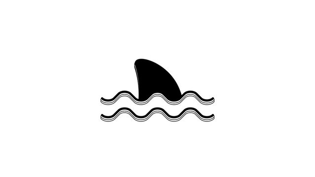 Black Shark fin in ocean wave icon isolated on white background. 4K Video motion graphic animation